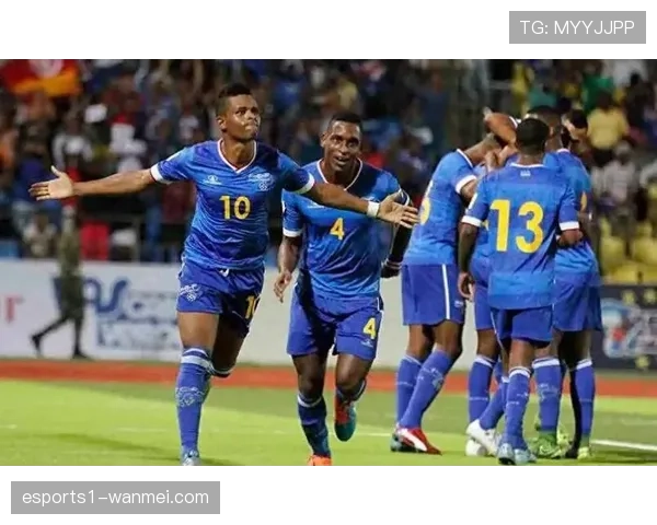 佛得角力压喀麦隆 小组赛表现令人瞩目